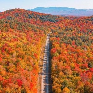 Meet your Posher, Rasha